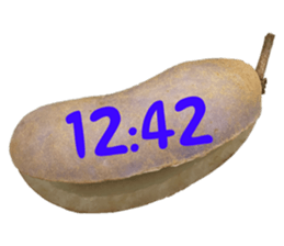 552230524