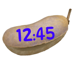 552230525
