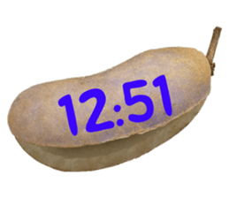552230527