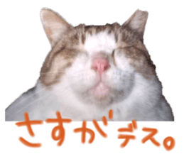 552230651