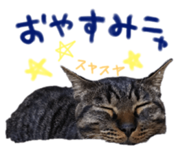 552230660