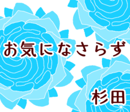 55223226