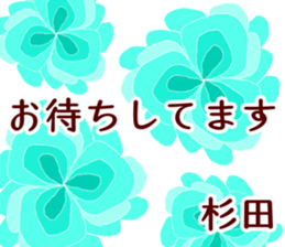 55223243
