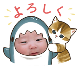 552233990