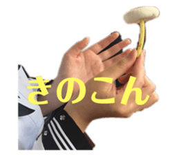 552234343