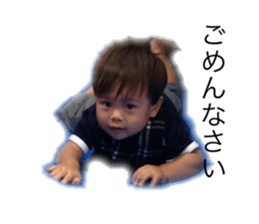 55223906