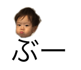 55223915