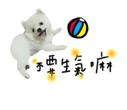 55227025