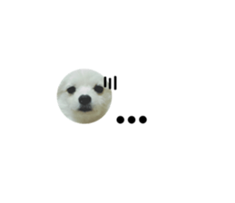 55227027