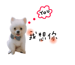55227029