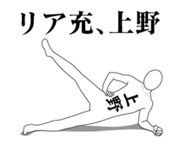 55228274