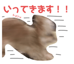 552343160