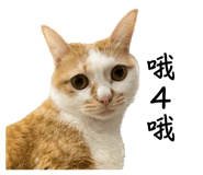552370935