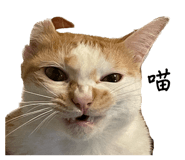552370944