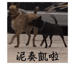 552379122