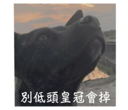 552379131