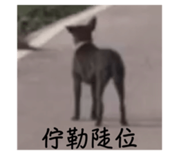 552379139