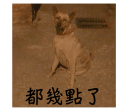 552379146