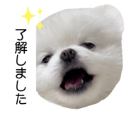 552391199