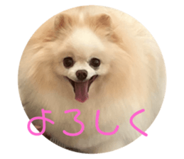 552393358