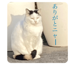 552401726