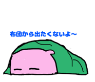 552404066