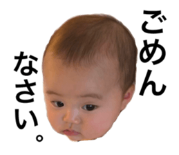 55240694