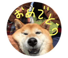 55247971
