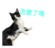 552493695