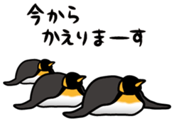 5525175