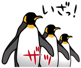 5525186