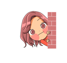 55252549