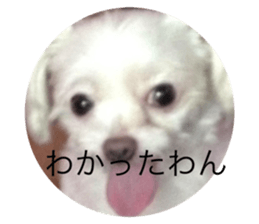 552532180