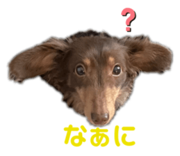 552538248