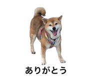 552558350