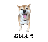 552558351