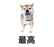 552558352