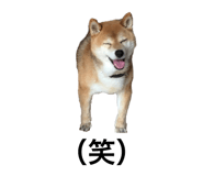 552558353