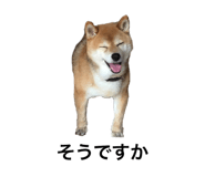 552558354