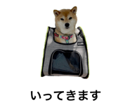 552558357