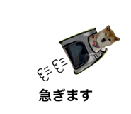 552558358