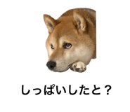 552558360