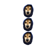 552558363