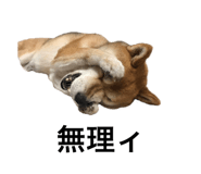 552558364
