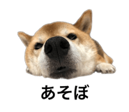 552558365