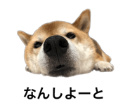 552558366