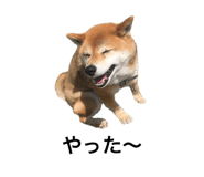552558368