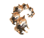 552558369