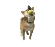 552558371