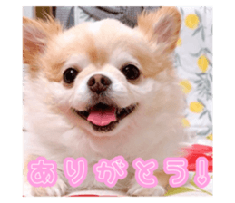 552569414